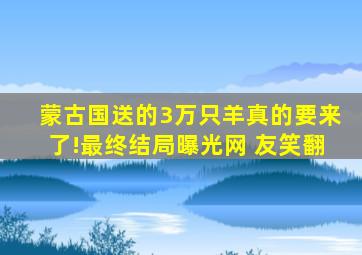 蒙古国送的3万只羊真的要来了!最终结局曝光网 友笑翻